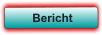 Bericht