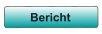 Bericht