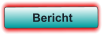 Bericht
