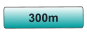 300m