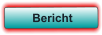 Bericht