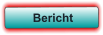 Bericht