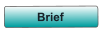 Brief