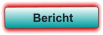 Bericht